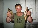 Нажмите на изображение для увеличения.

Название:	IMG_3101.jpg
Просмотров:	1026
Размер:	88.9 Кб
ID:	3420342