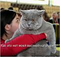 Нажмите на изображение для увеличения.

Название:	Уго наверное.jpg
Просмотров:	1536
Размер:	60.7 Кб
ID:	3421268