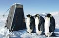 Нажмите на изображение для увеличения.

Название:	1228887690_pinguin009.jpg
Просмотров:	780
Размер:	23.6 Кб
ID:	3421328