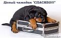 Нажмите на изображение для увеличения.

Название:	Спасибо!.jpeg
Просмотров:	785
Размер:	40.4 Кб
ID:	3421460