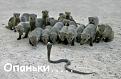 Нажмите на изображение для увеличения.

Название:	Кризис.jpg
Просмотров:	560
Размер:	149.3 Кб
ID:	3421562