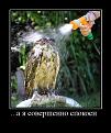 Нажмите на изображение для увеличения.

Название:	549595_a-ya-sovershenno-spokoen.jpg
Просмотров:	758
Размер:	100.8 Кб
ID:	3421571
