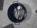 Нажмите на изображение для увеличения.

Название:	P260611_18.57.jpg
Просмотров:	1100
Размер:	196.0 Кб
ID:	3421806