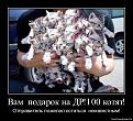 Нажмите на изображение для увеличения.

Название:	1307653756-vam-podarok-na-dr100-kotyat.jpg
Просмотров:	464
Размер:	153.8 Кб
ID:	3422215