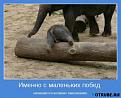 Нажмите на изображение для увеличения.

Название:	Слон учит Слонёнка.jpg
Просмотров:	420
Размер:	31.4 Кб
ID:	3422299