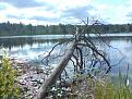 Нажмите на изображение для увеличения.

Название:	DSC00857.jpg
Просмотров:	1800
Размер:	205.1 Кб
ID:	3422516