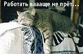Нажмите на изображение для увеличения.

Название:	работа.jpg
Просмотров:	397
Размер:	43.2 Кб
ID:	3422528