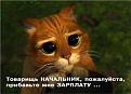 Нажмите на изображение для увеличения.

Название:	работа 4.jpg
Просмотров:	356
Размер:	40.5 Кб
ID:	3422531