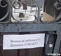 Нажмите на изображение для увеличения.

Название:	Ворота ЗС.jpg
Просмотров:	485
Размер:	37.8 Кб
ID:	3422974