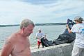Нажмите на изображение для увеличения.

Название:	Дубровенское 083.jpg
Просмотров:	300
Размер:	144.2 Кб
ID:	3423771
