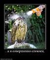 Нажмите на изображение для увеличения.

Название:	549595_a-ya-sovershenno-spokoen.jpg
Просмотров:	438
Размер:	102.4 Кб
ID:	3423822