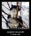 Нажмите на изображение для увеличения.

Название:	x_8937888f.jpg
Просмотров:	342
Размер:	38.8 Кб
ID:	3424543
