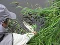 Нажмите на изображение для увеличения.

Название:	Место №2 июль 2011 129.jpg
Просмотров:	968
Размер:	113.6 Кб
ID:	3424977