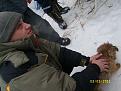Нажмите на изображение для увеличения.

Название:	SL271438_thumb.jpg
Просмотров:	755
Размер:	61.4 Кб
ID:	3426465