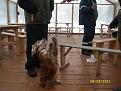 Нажмите на изображение для увеличения.

Название:	SL271405_thumb.jpg
Просмотров:	404
Размер:	72.3 Кб
ID:	3426513