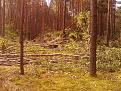 Нажмите на изображение для увеличения.

Название:	IMG_20110807_121542.jpg
Просмотров:	1763
Размер:	138.8 Кб
ID:	3426964