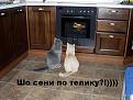 Нажмите на изображение для увеличения.

Название:	телевидение.jpg
Просмотров:	306
Размер:	46.0 Кб
ID:	3427766