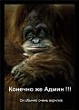 Нажмите на изображение для увеличения.

Название:	i-185.jpg
Просмотров:	301
Размер:	28.8 Кб
ID:	3429024