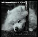 Нажмите на изображение для увеличения.

Название:	i-191.jpg
Просмотров:	294
Размер:	43.3 Кб
ID:	3429030