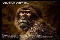 Нажмите на изображение для увеличения.

Название:	i-192.jpg
Просмотров:	301
Размер:	34.5 Кб
ID:	3429031