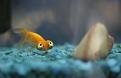 Нажмите на изображение для увеличения.

Название:	funny_fish_03.jpg
Просмотров:	304
Размер:	43.9 Кб
ID:	3429072