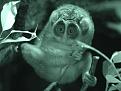 Нажмите на изображение для увеличения.

Название:	1271423612_zoo_animals_captured_at_the_right_moment_26.jpg
Просмотров:	274
Размер:	42.2 Кб
ID:	3433914
