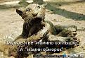 Нажмите на изображение для увеличения.

Название:	Мега РРРРР.jpg
Просмотров:	369
Размер:	45.4 Кб
ID:	3434870