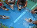 Нажмите на изображение для увеличения.

Название:	Хомяк балдеет.jpg
Просмотров:	331
Размер:	28.3 Кб
ID:	3435047