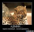 Нажмите на изображение для увеличения.

Название:	Dain.jpg
Просмотров:	398
Размер:	36.2 Кб
ID:	3435145