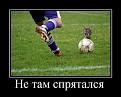 Нажмите на изображение для увеличения.

Название:	Футбол.jpg
Просмотров:	346
Размер:	35.9 Кб
ID:	3436203