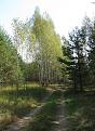 Нажмите на изображение для увеличения.

Название:	IMG_0723.jpg
Просмотров:	815
Размер:	150.2 Кб
ID:	3437119