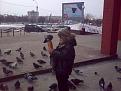 Нажмите на изображение для увеличения.

Название:	20022011353.jpg
Просмотров:	237
Размер:	193.0 Кб
ID:	3440093