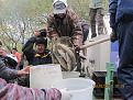 Нажмите на изображение для увеличения.

Название:	IMG_3357_m.jpg
Просмотров:	655
Размер:	184.2 Кб
ID:	3440386