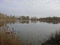 Нажмите на изображение для увеличения.

Название:	DSC09439.jpg
Просмотров:	969
Размер:	124.4 Кб
ID:	3441695
