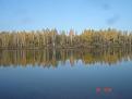Нажмите на изображение для увеличения.

Название:	DSC02287.JPG
Просмотров:	1040
Размер:	48.8 Кб
ID:	3441892