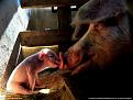 Нажмите на изображение для увеличения.

Название:	1237841025_national_geographic_03.jpg
Просмотров:	259
Размер:	69.4 Кб
ID:	3442044