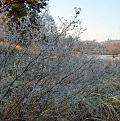 Нажмите на изображение для увеличения.

Название:	DSC_0008.jpg
Просмотров:	451
Размер:	204.6 Кб
ID:	3442115