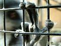 Нажмите на изображение для увеличения.

Название:	1205698304_funtoo_ru_43.jpg
Просмотров:	356
Размер:	36.4 Кб
ID:	3442465