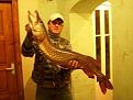 Нажмите на изображение для увеличения.

Название:	8,3kg.JPG
Просмотров:	984
Размер:	146.3 Кб
ID:	3442836