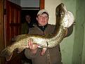Нажмите на изображение для увеличения.

Название:	8,9kg.JPG
Просмотров:	969
Размер:	164.0 Кб
ID:	3442837