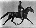 Нажмите на изображение для увеличения.

Название:	Muybridge_horse_pacing_animated.jpg
Просмотров:	587
Размер:	7.6 Кб
ID:	3442967