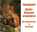 Нажмите на изображение для увеличения.

Название:	1232723667_00100000.jpg
Просмотров:	2168
Размер:	40.3 Кб
ID:	3444226