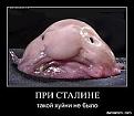 Нажмите на изображение для увеличения.

Название:	512430-pri_staline_takoi_huini_ne_bylo.jpg
Просмотров:	1279
Размер:	11.1 Кб
ID:	3445083