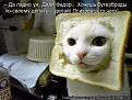 Нажмите на изображение для увеличения.

Название:	x_66041f7a.jpg
Просмотров:	1260
Размер:	54.2 Кб
ID:	3446183