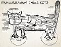Нажмите на изображение для увеличения.

Название:	кошки.jpg
Просмотров:	328
Размер:	61.7 Кб
ID:	3446233