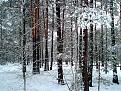 Нажмите на изображение для увеличения.

Название:	DSC00418.jpg
Просмотров:	584
Размер:	90.7 Кб
ID:	3446617