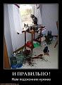 Нажмите на изображение для увеличения.

Название:	cats.jpg
Просмотров:	1387
Размер:	84.9 Кб
ID:	3446988