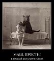 Нажмите на изображение для увеличения.

Название:	0.jpg
Просмотров:	1498
Размер:	56.5 Кб
ID:	3447578
