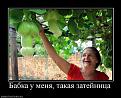 Нажмите на изображение для увеличения.

Название:	7.jpg
Просмотров:	1178
Размер:	37.6 Кб
ID:	3447585