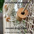 Нажмите на изображение для увеличения.

Название:	503838.jpg
Просмотров:	1014
Размер:	141.0 Кб
ID:	3448196